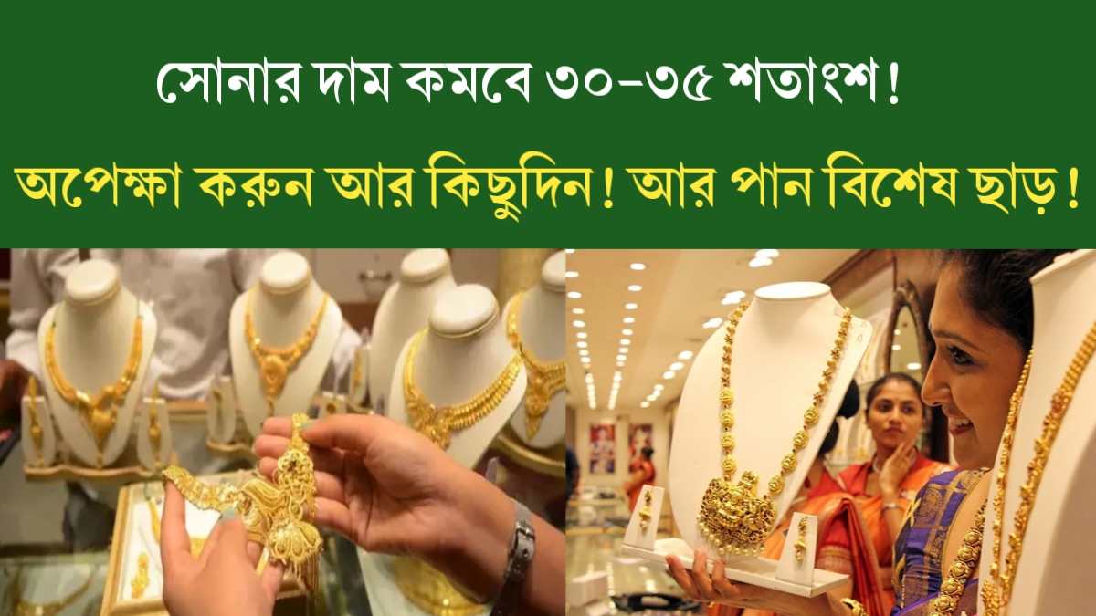 Gold Price 2024: সোনার দাম কমবে ৩০-৩৫ শতাংশ, অপেক্ষা করুন আর কিছুদিন! জানুন আরো বিস্তারিত।