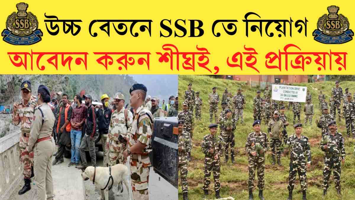 SSB New job vacancy 2024