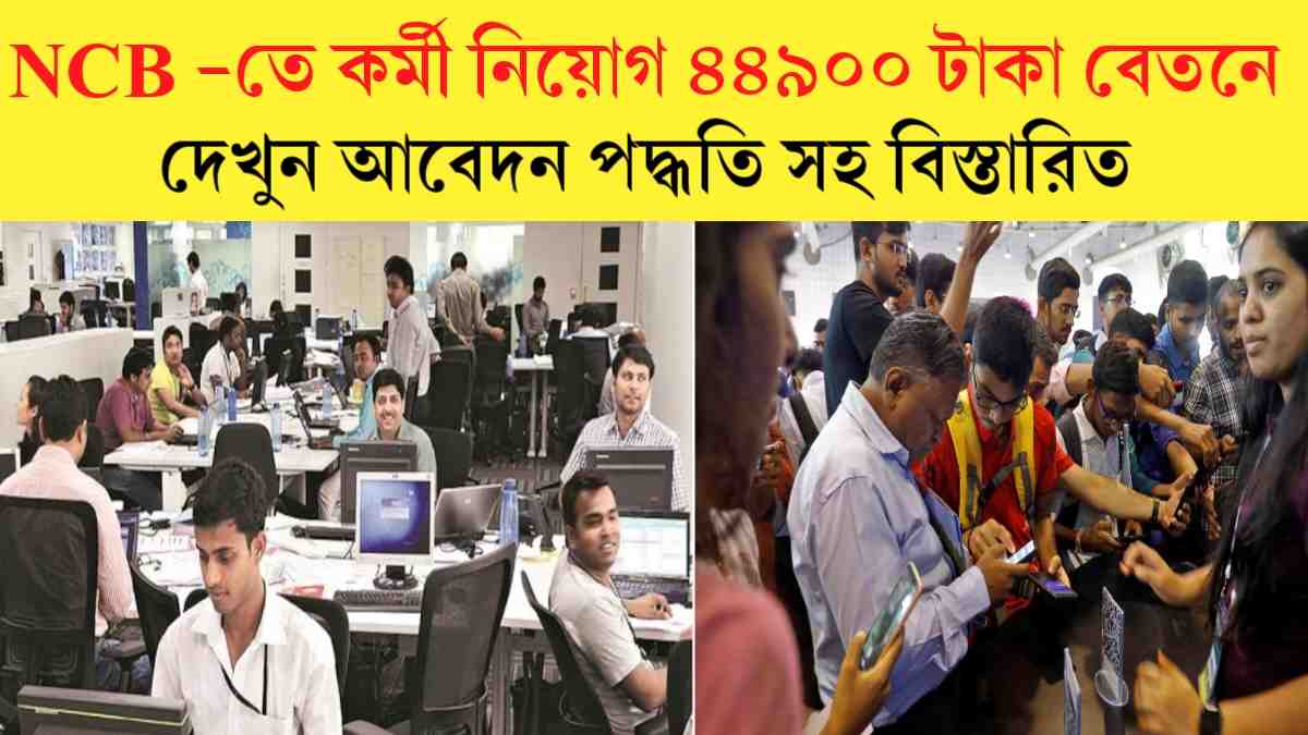 NCB Recruitment 2024